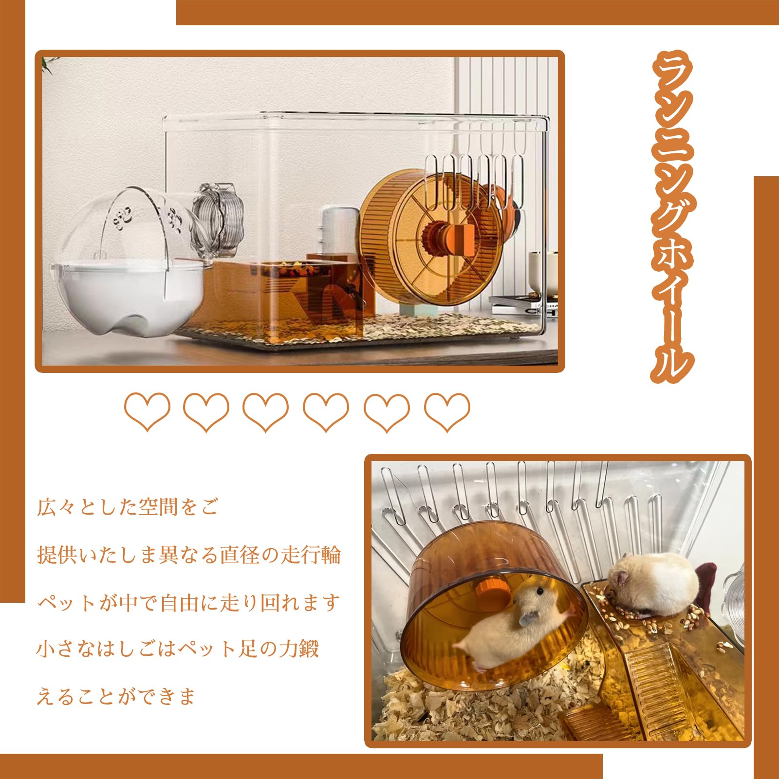 Amazon | 小動物 ケージ セット ルーミィ グランスペース 組み立て式